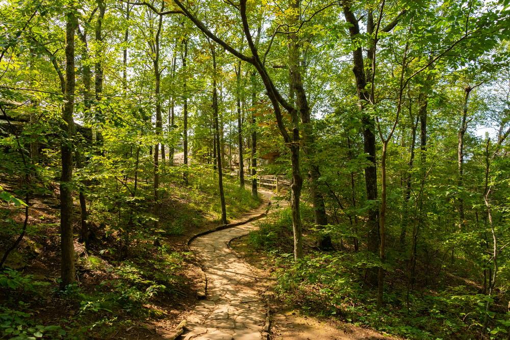 The stone trail leading to the Garden of the Gods overlook. The trail is surrounded by trees with green leaves. It's one of the best places for hiking in Illinois. 