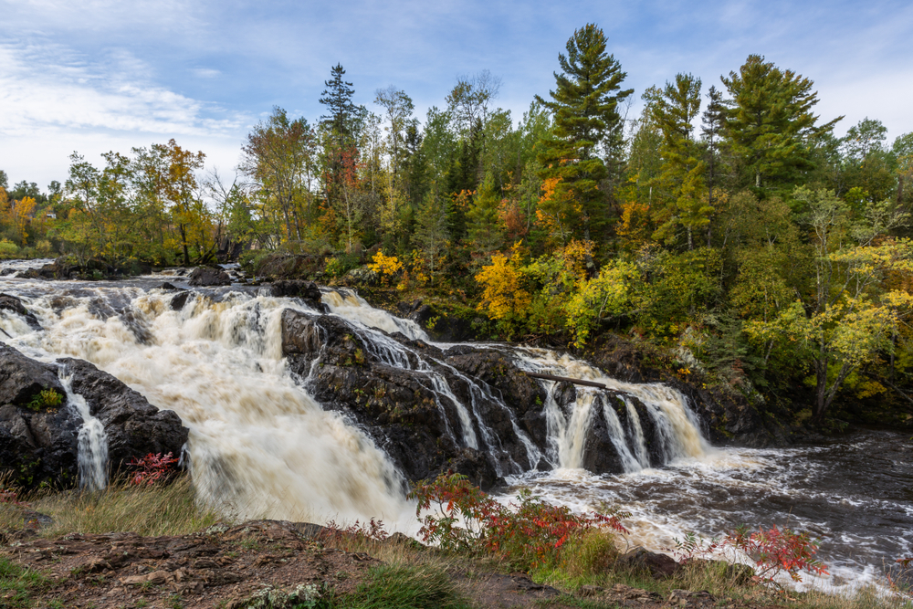 Kawishiwi Falls gushing strongly over rocks next to a forest with fall foliage.