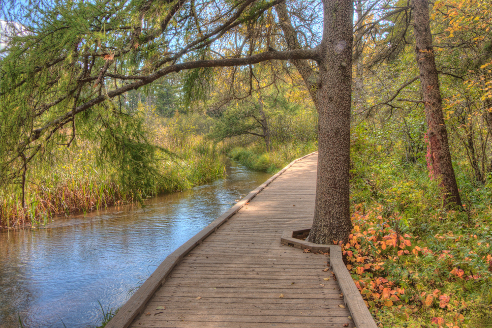 Wooden boardwalk path with water on one side and woods on the other.