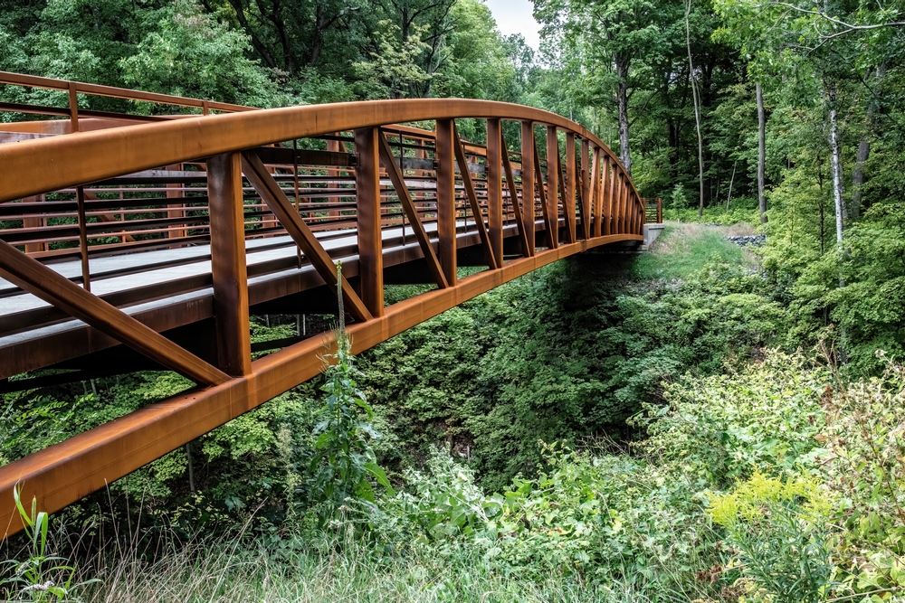 Metal bridge going across grass and bushes in a forest.