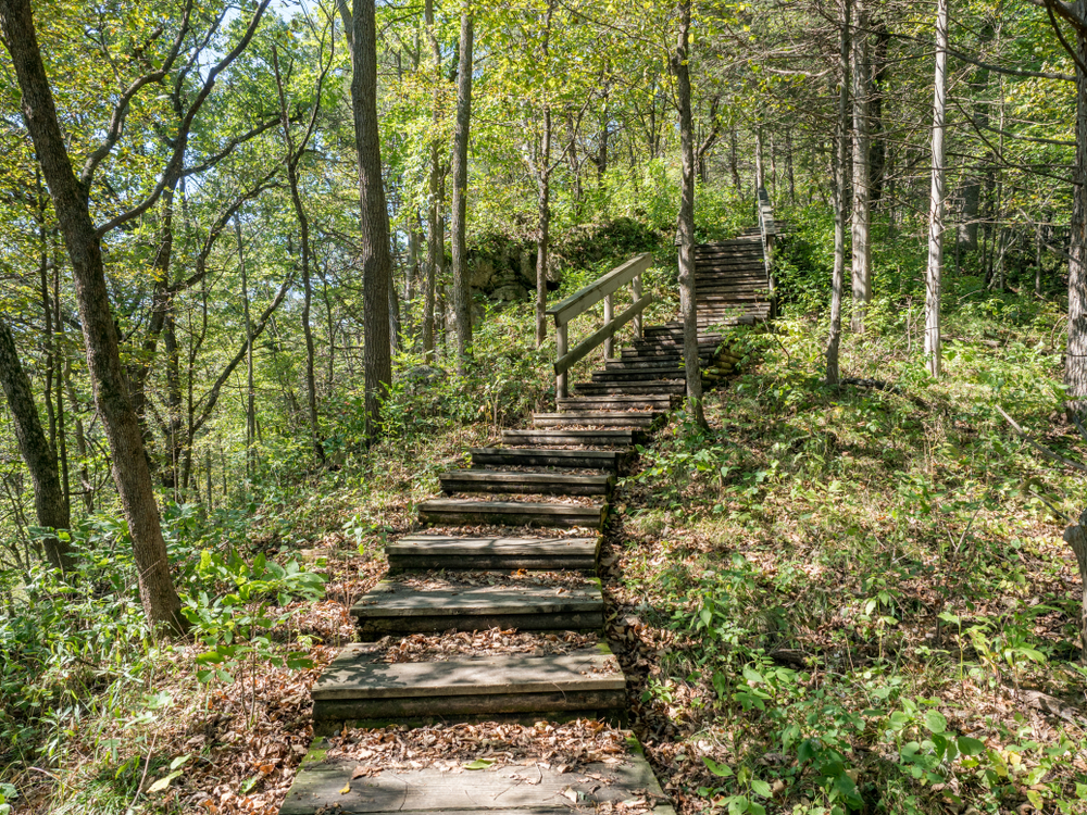 A wooden staircase winding up through a green forest while hiking in Minnesota.