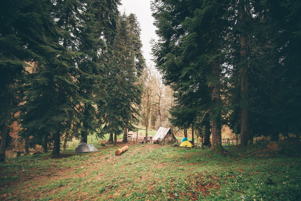A clearing in the woods where you can see a few tents at campsites. 