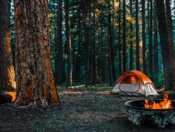 An orange and white tent in a wooded campsite with a fire pit that has a fire in it. Beautiful spot for camping in Kansas.