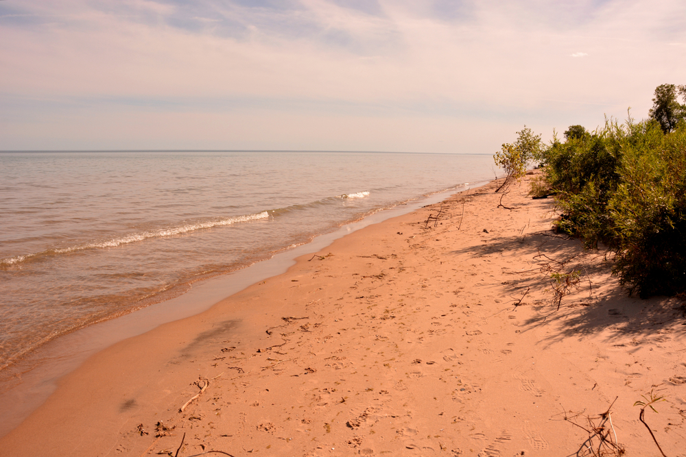 Beach with trees on and the waves gentle spashing on the beach. 