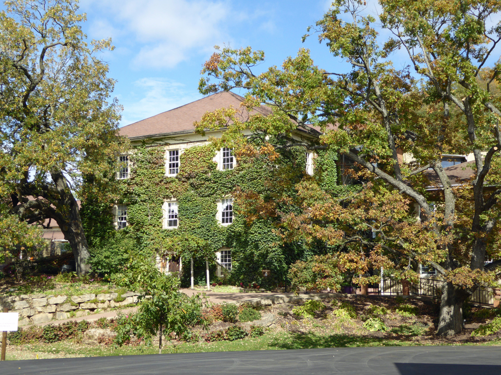 A beautiful old stone building covered in ivy with trees around it. 