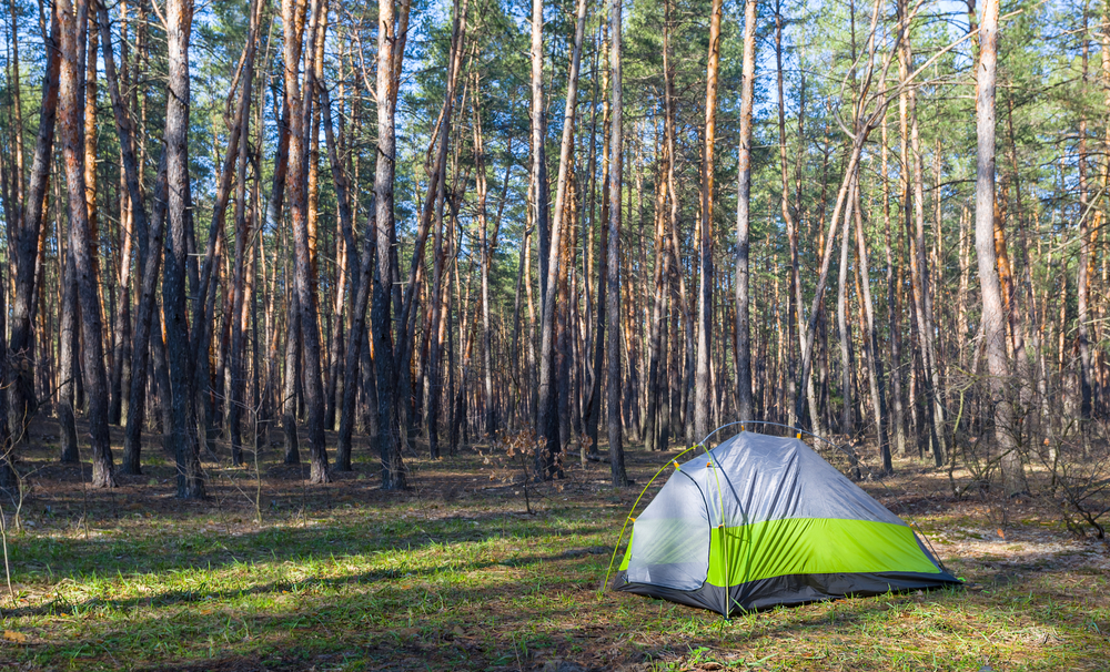 A green and grey tent in a clearing in the woods surrounded by trees. A great spot for camping in Kansas. 