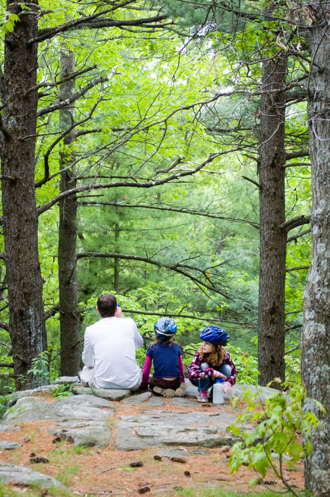 A man and his two children resting on a rock overlook with trees in the background. The two children have bike helmets on  