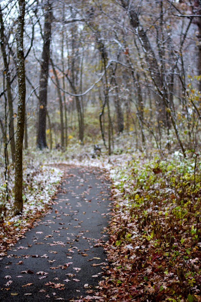 A paved trail running through Burr Oaks woods on a cold winter day in Missouri. In an article about hiking in Missouri 