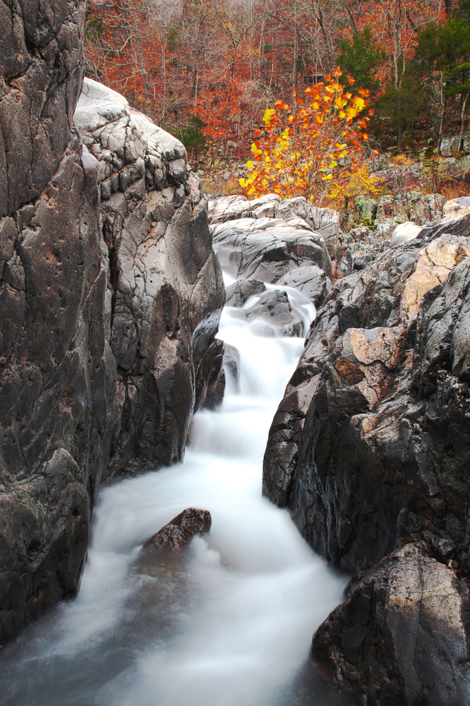 Water flowing over rocks with trees in the background