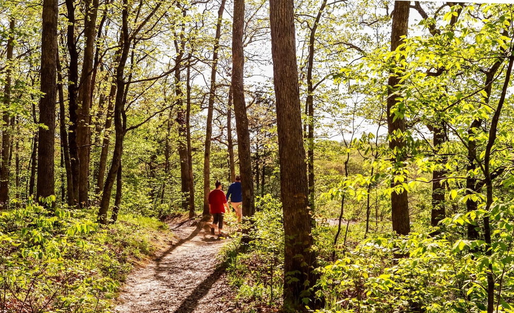 woman hiking in forest with sun streaming through trees while hiking in Missouri