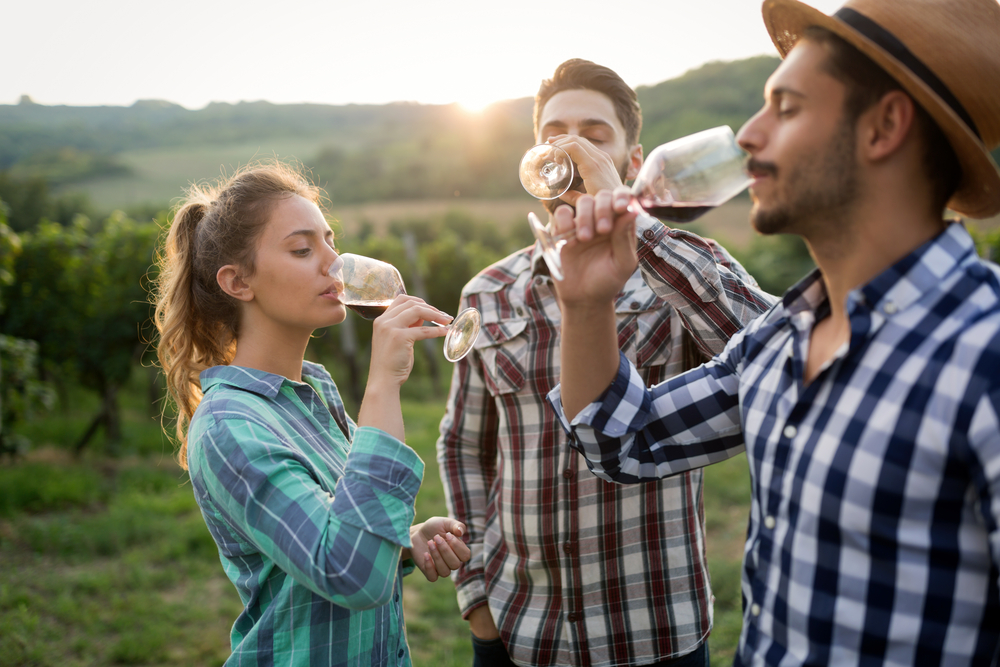 A group of three people sampling wine in plaid shirts in a vineyard at sunset