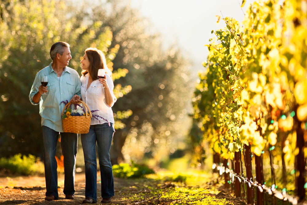 A mature couple walking together, holding a basket, and wine glasses in a vineyard similar to wineries in Ohio