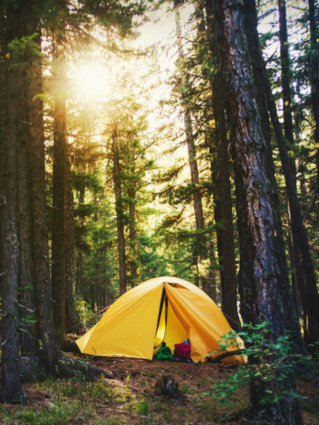 18 Epic Places For Camping In Michigan Story