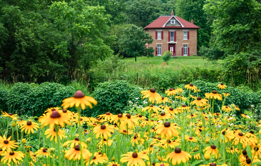 Red colored house with yellow flowers in the foreground