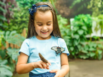 A kid with butterflies perched on their finger and shirt in a butterfly house, one of the best things to do in Ohio with kids.