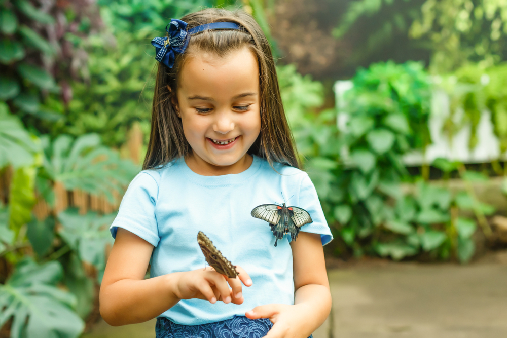 A kid with butterflies perched on their finger and shirt in a butterfly house, one of the best things to do in Ohio with kids. 