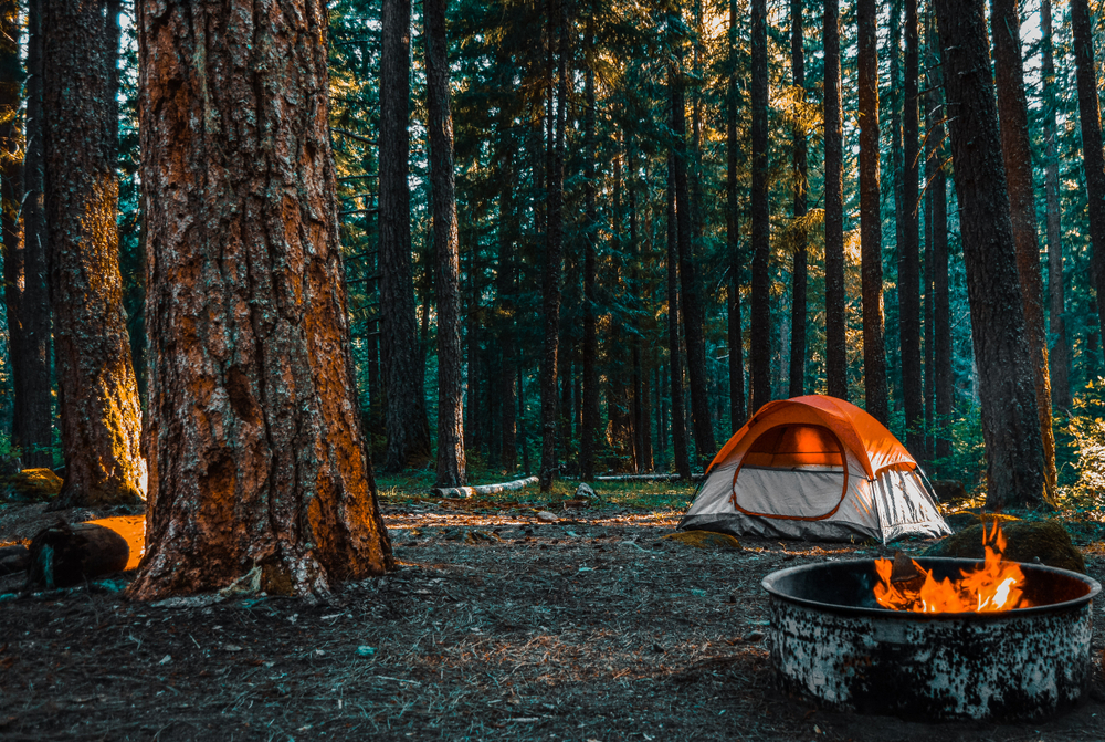 A tent that is orange and white nestled in the woods with a firepit nearby. 