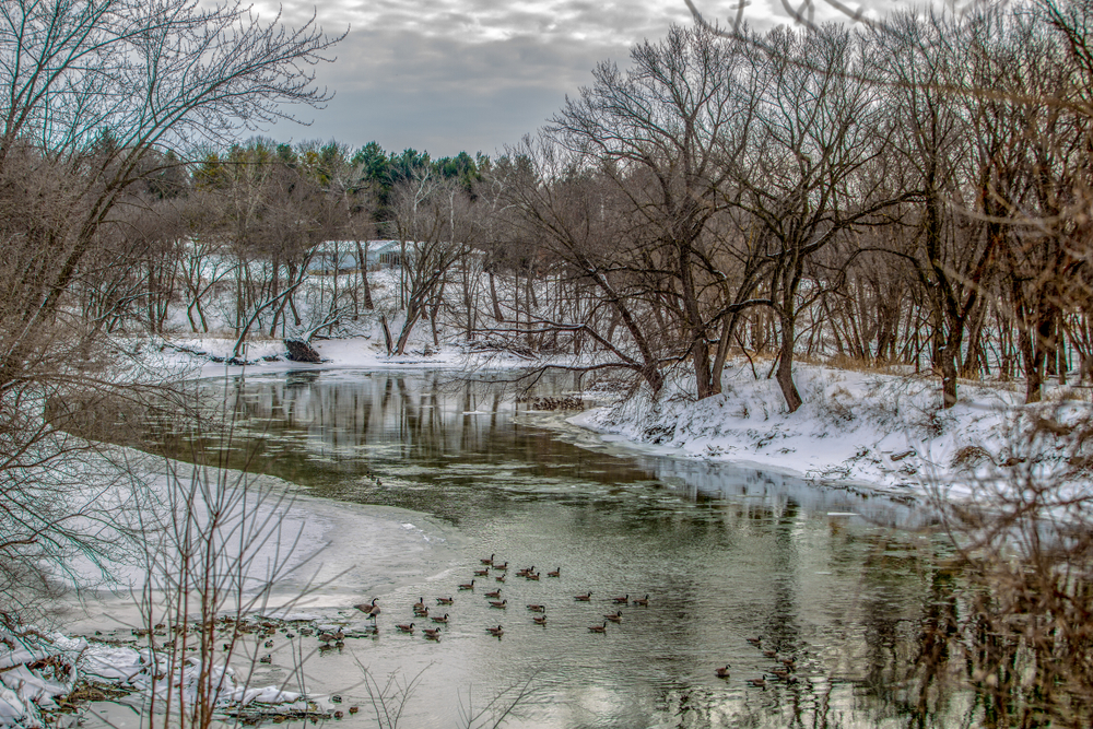 Snow covered ground with barren trees