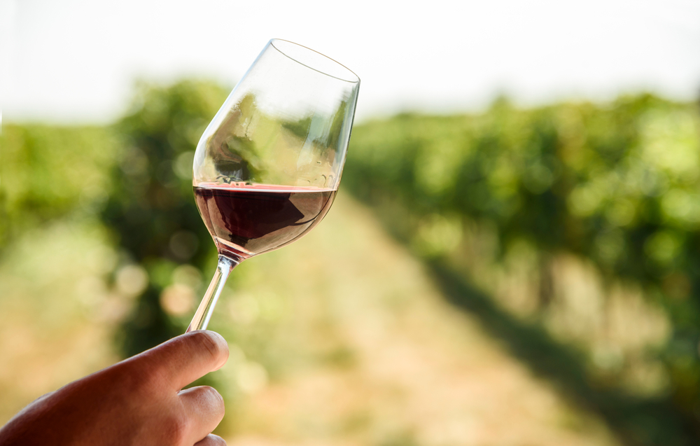 A glass of red wine being held near camera with vineyard blurred in the background. 