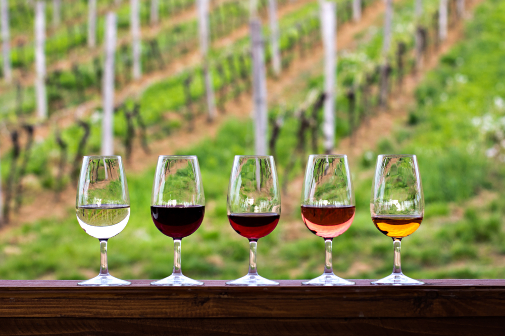 Five glasses of wine on a ledge with a vineyard in the background. In an article about winereis in Indiana 