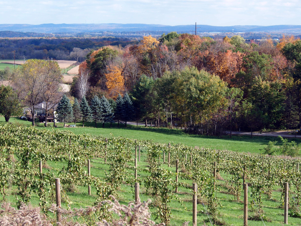 Scenic landscape near Baraboo, WI - with winery, forest in fall colors, agricultural fields and Baraboo hills in the distance. 