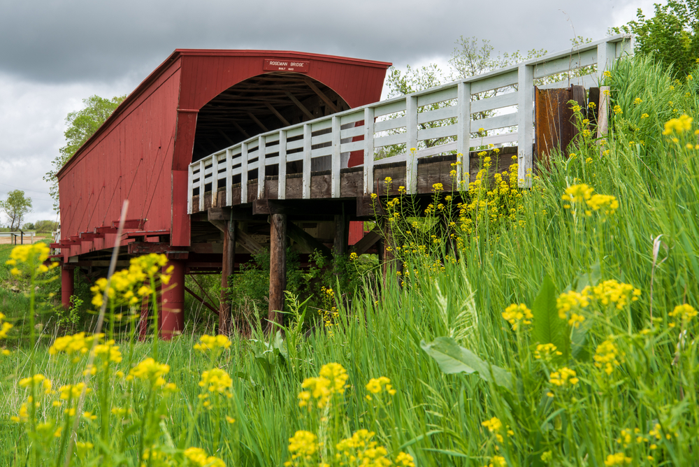 Res bridge surrounded by yellow flowers