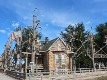 Quirky town in Kansas with unusual tree formations surrounding it.