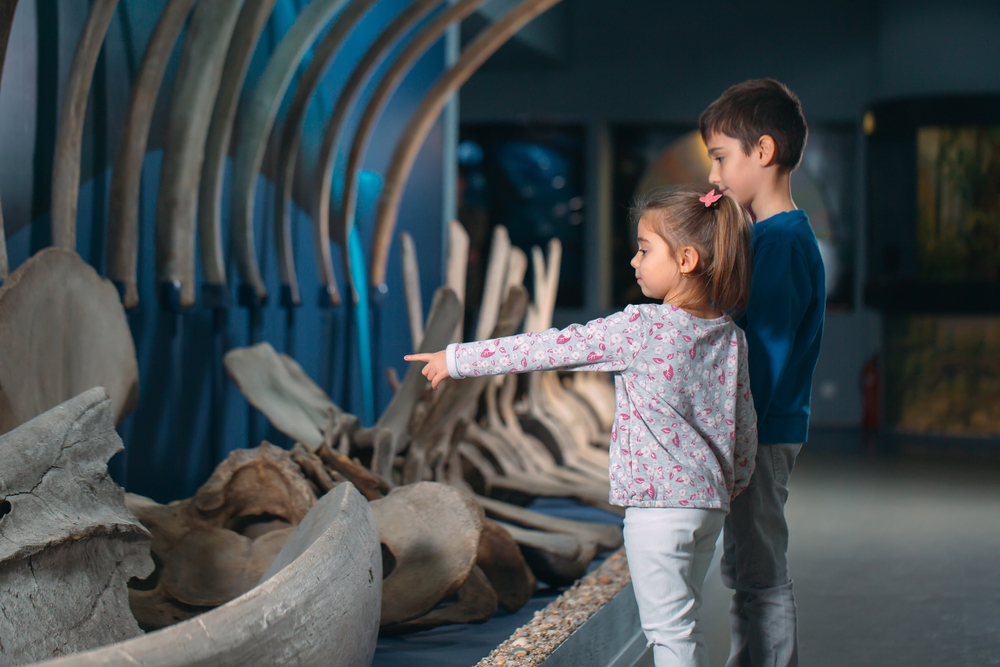 Two kids looking at dinosaur bones in a museum, similar to ones you'll see when you explore the best things to do in Dayton. 