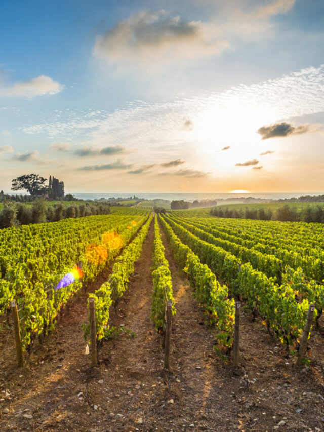 15 Beautiful Vineyards And Wineries In Ohio Story