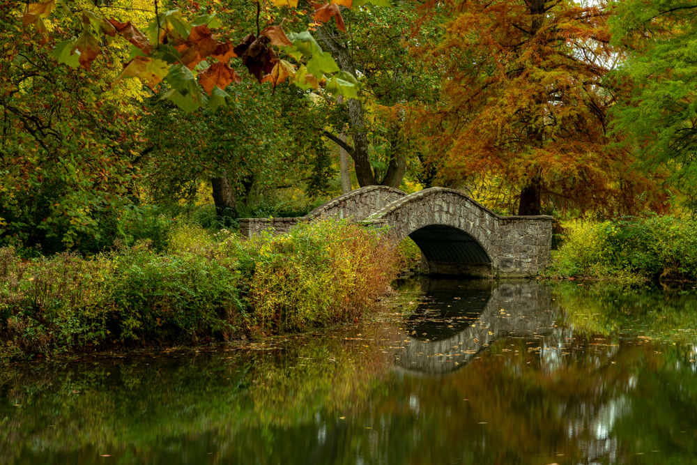 A stone bridge going over an area in a pond surrounded by tall grass and trees with yellow, orange, red, and green leaves. It's one of the best things to do in Dayton. 
