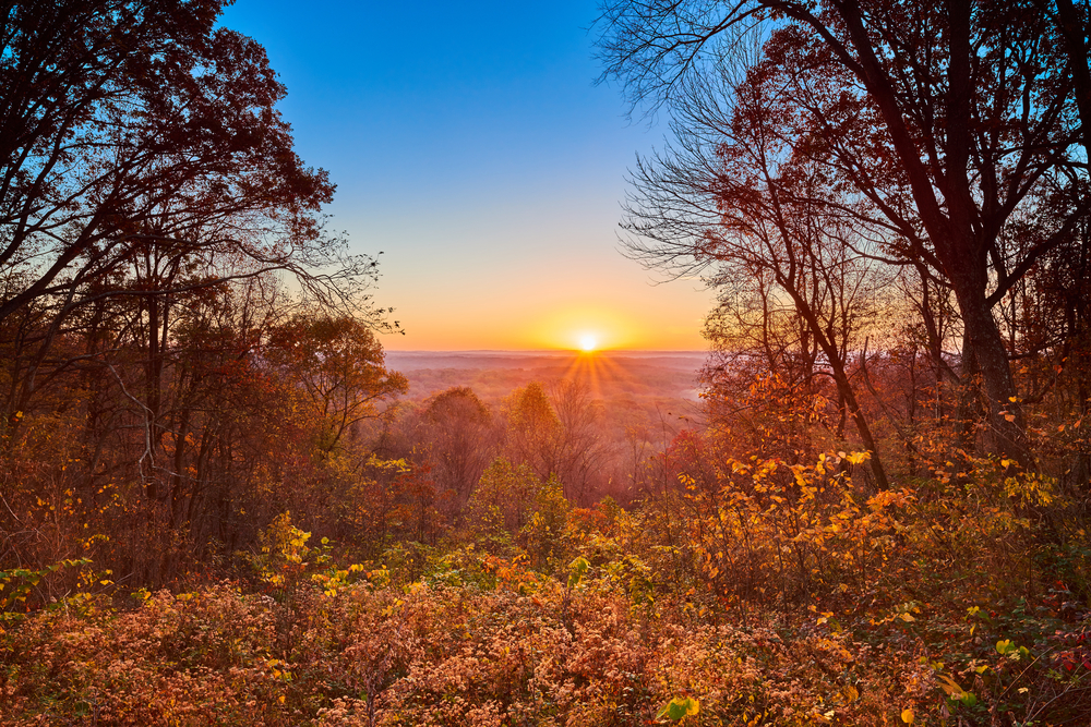 Sunrise at Brown Co. State Park the sun is rising in teh background and you can see a full canapy of fall foilage