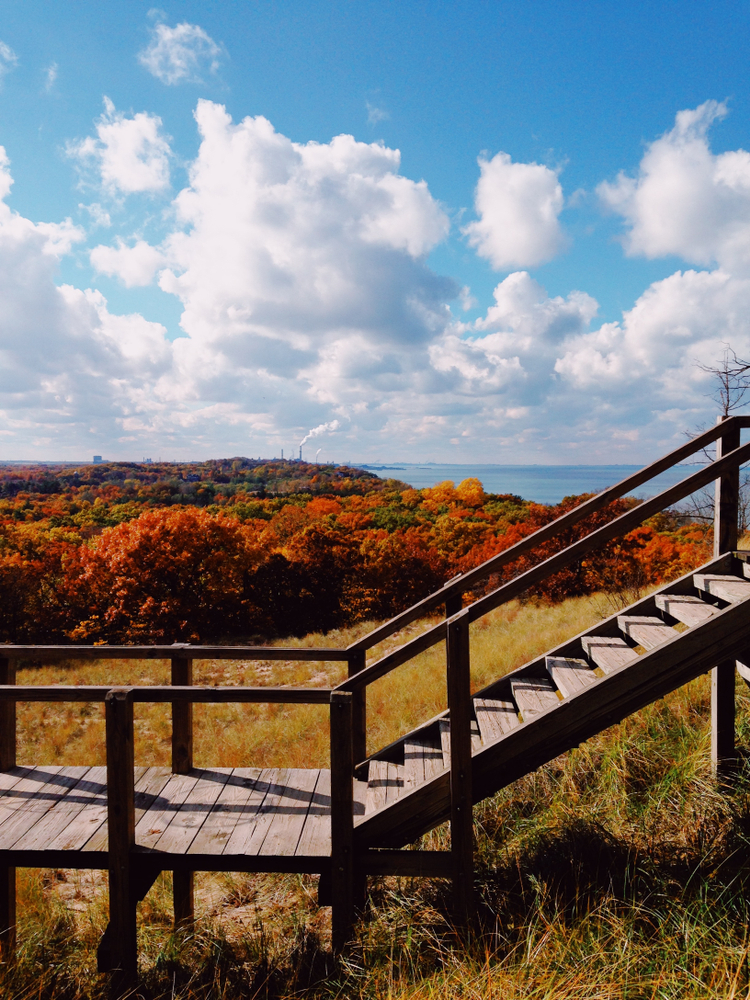 braodwalk overlook at Indiana Dunes State Park. the fall foilage can be seen in the distance/ 