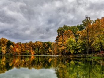 fall colors with cloudy sky in background and flat water in foreground