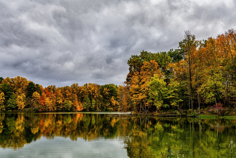 Trees ablaze with the bright colors of fall are reflected in the calm waters of Worster Lake at Potato Creek State Park.  