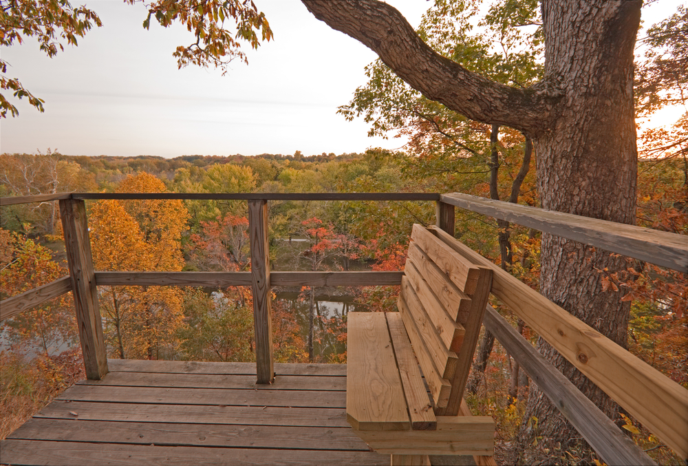 Bench overlooking Wildcat Creek. The view is of stunning fall colors. There is a tree behind the bench. 