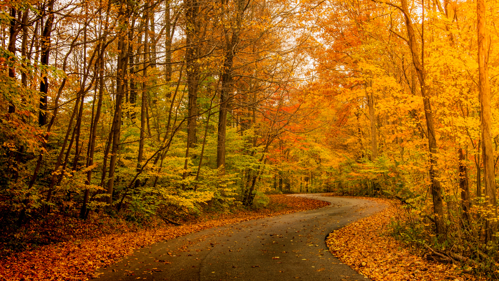 15 Best Places To Experience Fall In Indiana Midwest Explored