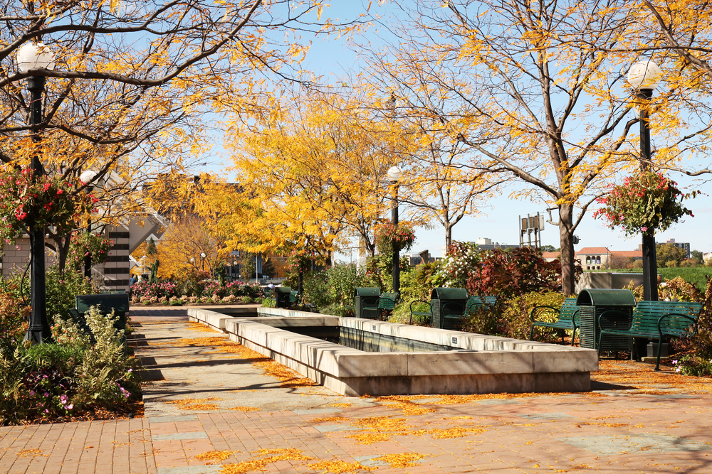 A walkway with a reflecting pool at the RiverScape Park in the fall, one of the best things to do in Dayton. 