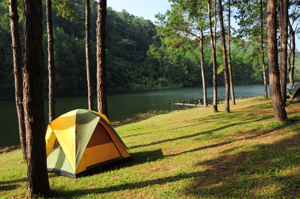A yellow and green tent on the edge of a lake near some trees, similar to places you can go camping in Illinois. 