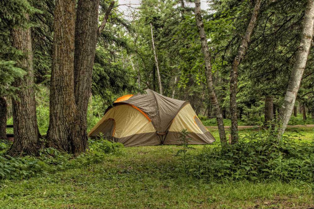 A large grey and tan tent on some grass surrounded by trees near a trail. It's similar to other places for camping in Illinois. 