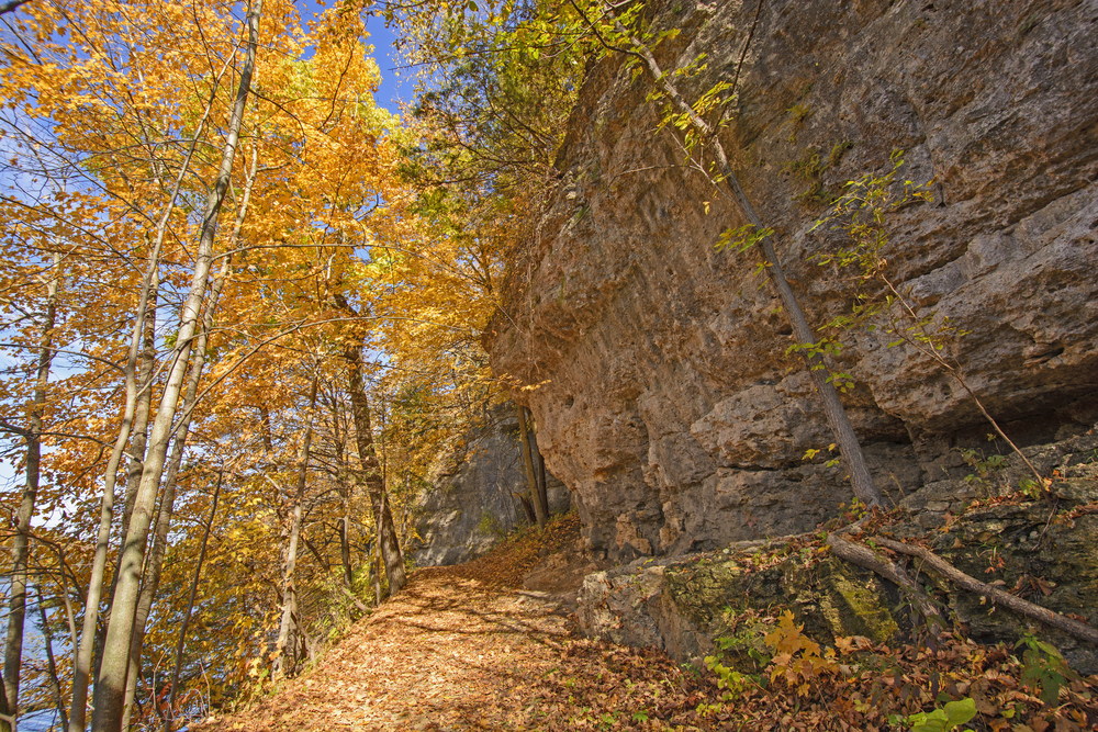 cliff hiking trail surrounded by fall colored trees