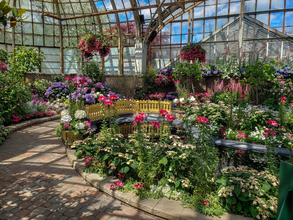 Conservatory greenhouse filled with flowers and a small pond.