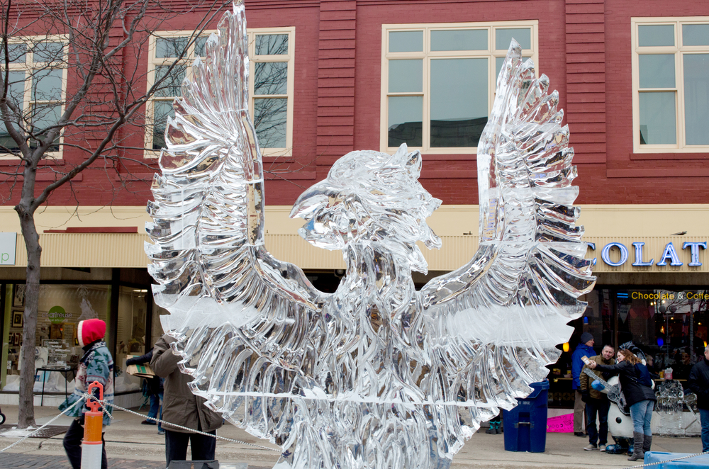 An ice sculpture of a bird raising its wings in downtown St. Joseph.