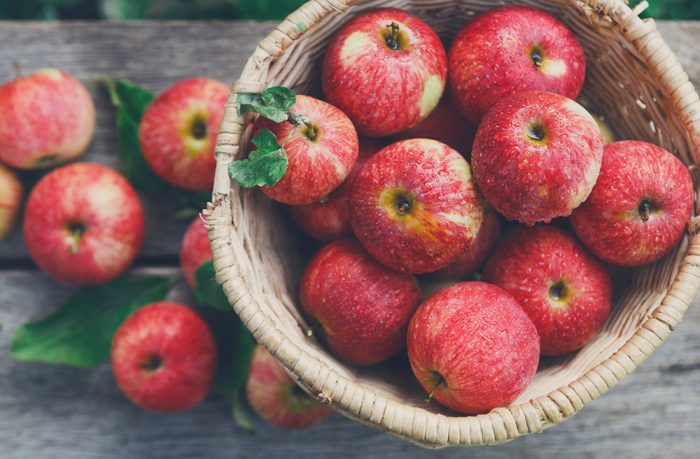 Looking down at a basket of apples sprayed with water.