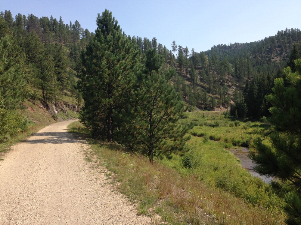 A dirt and gravel hiking trail on the side of a hill in a valley in South Dakota with tall trees, a meadow, and creek running through it. 