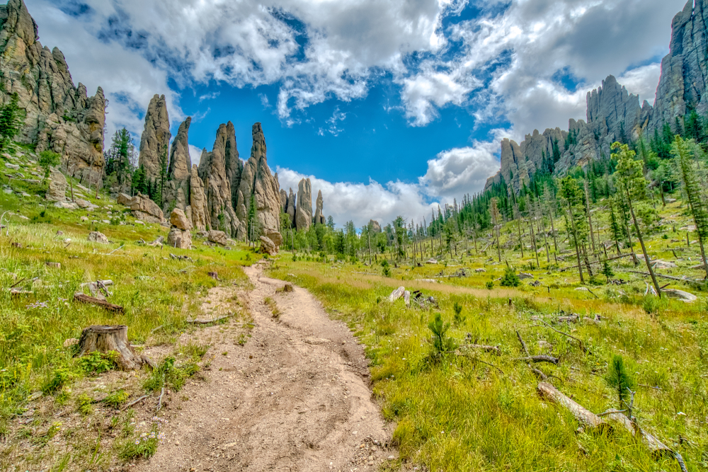 A trail for hiking in South Dakota through a plain with pine trees and views of large rock formations called the Cathedral Spires. 