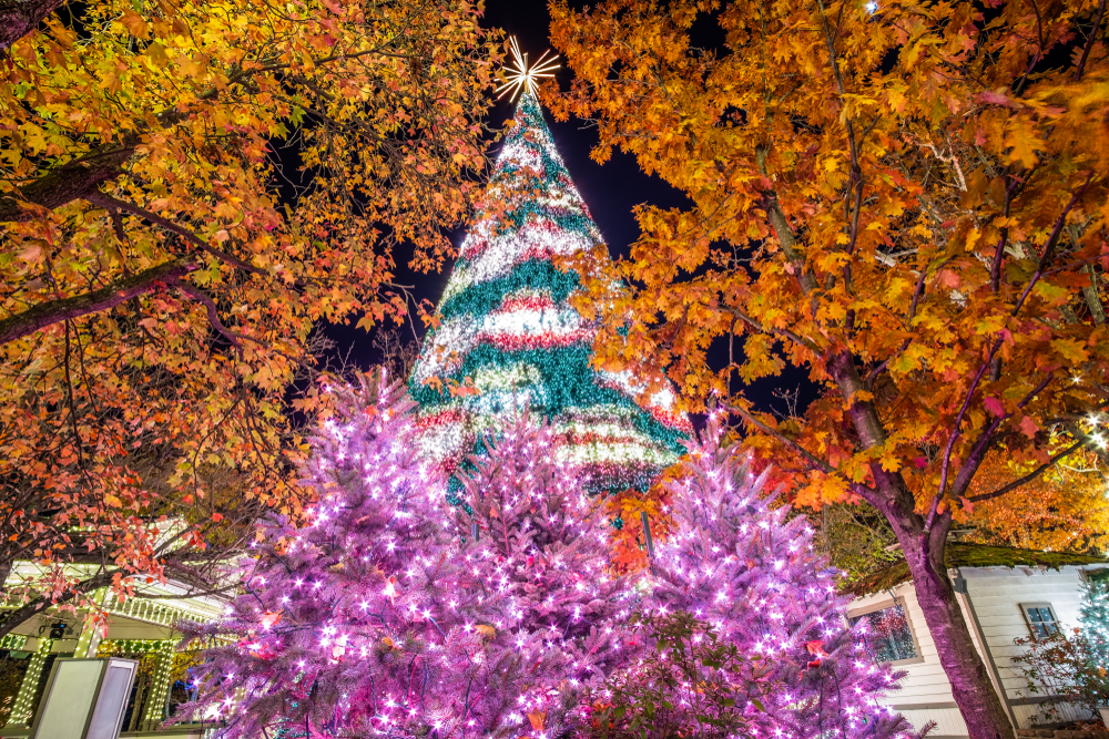 A large Christmas tree covered in lights with small pink trees underneath it. 