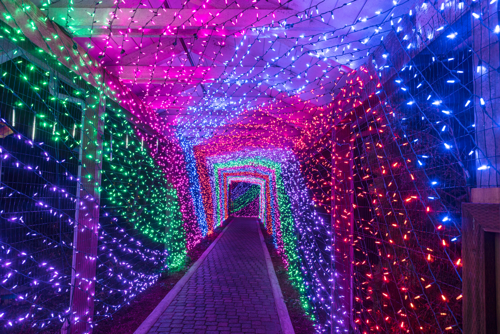A tunnel of Christmas lights of different colors over a sidewalk