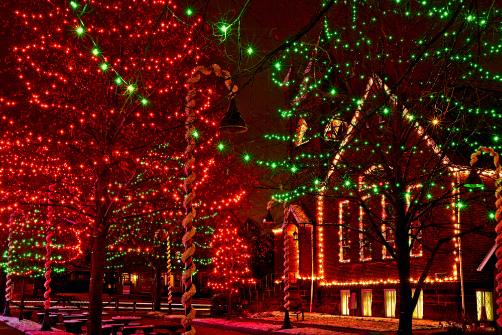 A large building covered in Christmas lights surrounded by trees covered in Christmas lights.