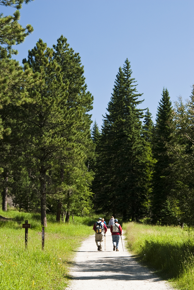 Hikers walking on a path surrounded by trees. In an article about things to do in Custer sd 