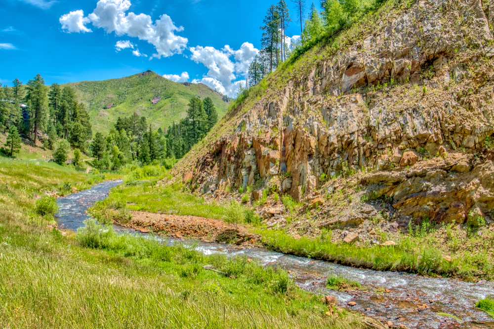 Custer State Park Scenery and Wildlife in South Dakota. There is a stream running with hills on one side and trees in the background. 